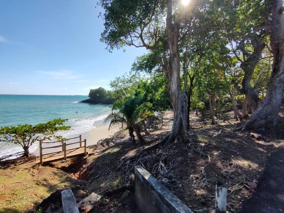 Haut De Villa Avec Vue Sur La Mer Сент-Роз Экстерьер фото